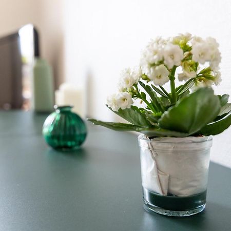 Sunshine - Appartement 2Pers - Terrasse Vue Mer - דינאר מראה חיצוני תמונה